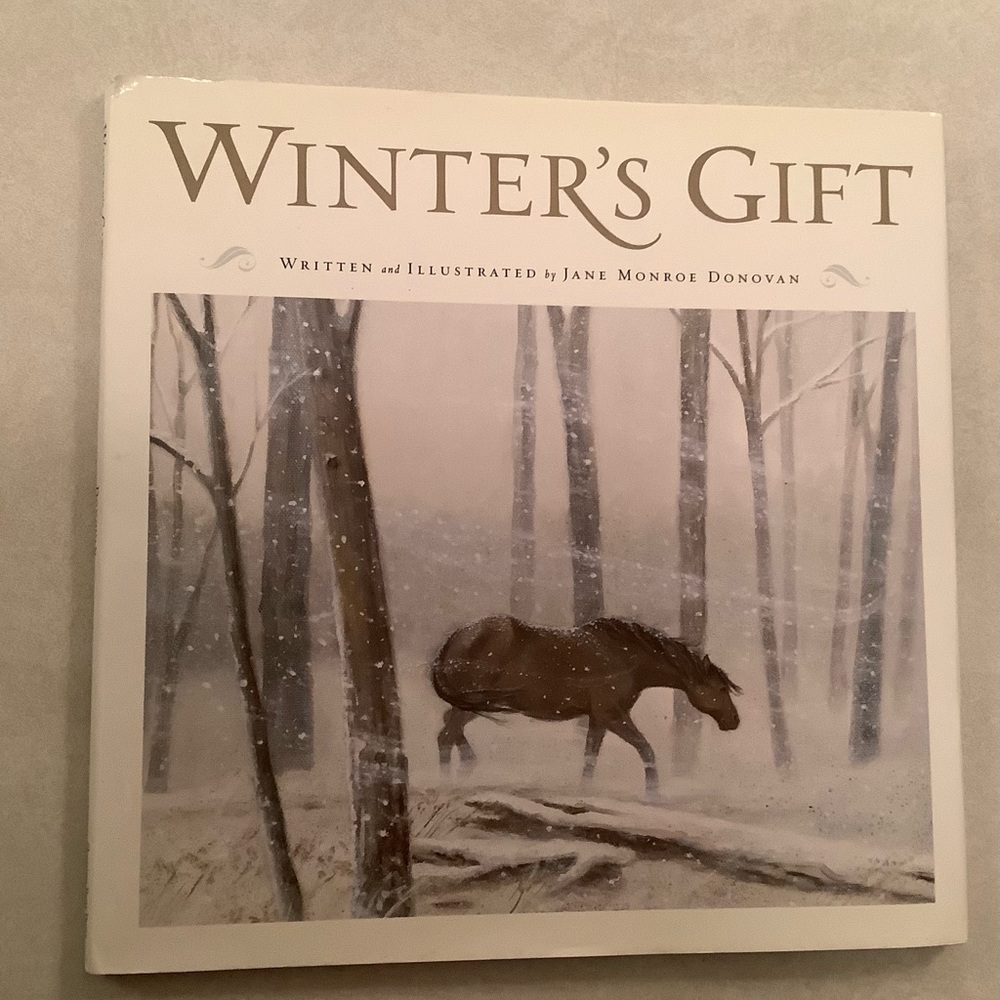 🤑”Winter’s Gift” book by Jane Monroe Donovan